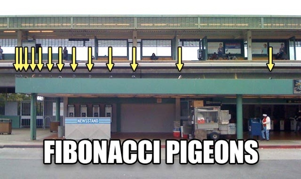 fibonacci-pigeons.jpg